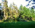 images/Schweden/Schweden 2012/IMG_0618.jpg